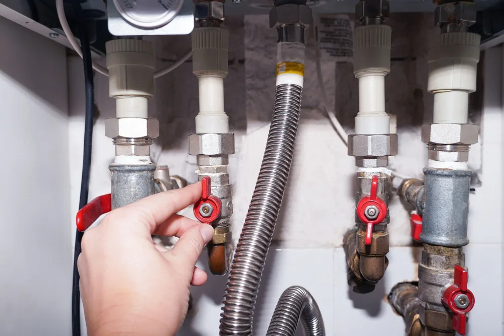 Thumbnail For Can Tree Roots Damage Gas Lines?